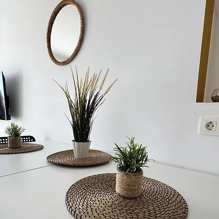 Cozy In The Center * 코라레호