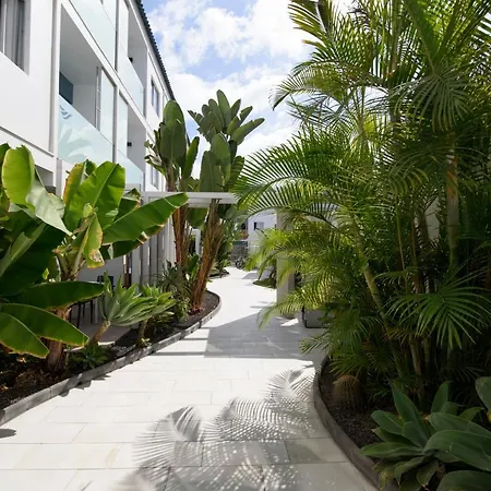 Cozy In The Center Διαμέρισμα *