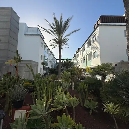 Cozy In The Center Corralejo
