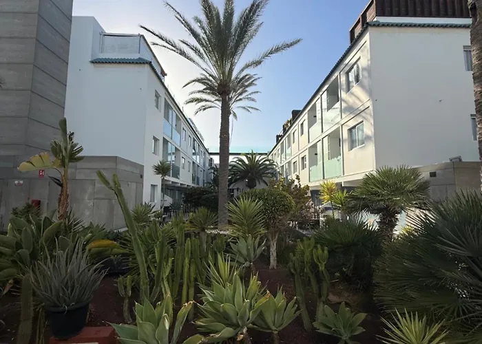 Cozy In The Center Corralejo